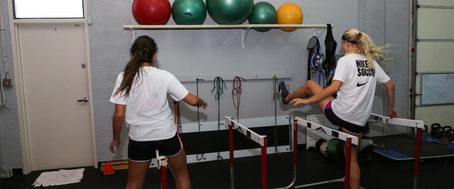 Sports Performance Training